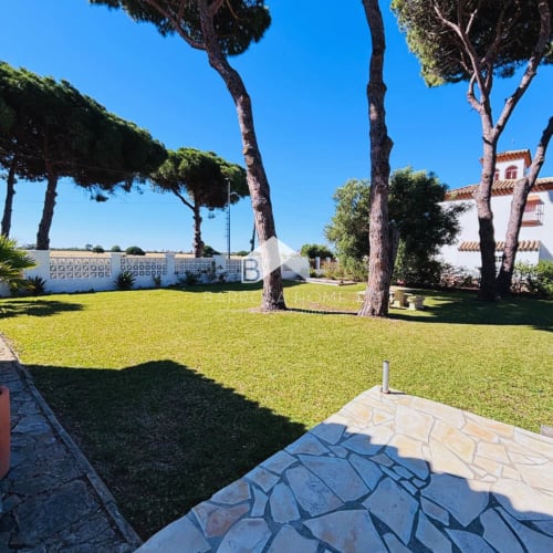 Jardín cuidado de Villa Irlanda con árboles altos, césped verde y villa blanca bajo cielo azul despejado en Chiclana de la
