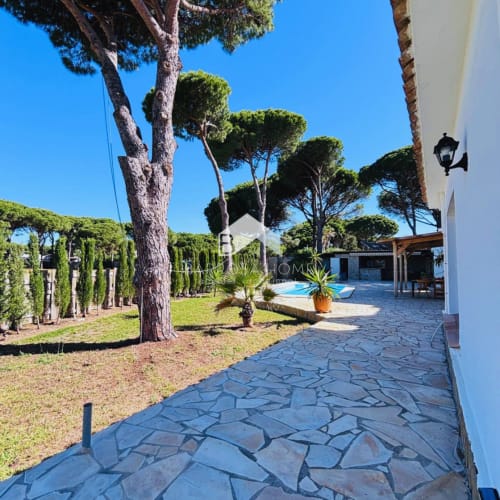 Villa Irlanda en Chiclana de la Frontera ofrece piscina privada, jardín con árboles mediterráneos y patio de piedra