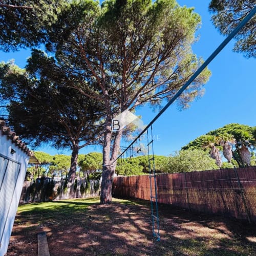 Jardín privado de Villa Irlanda en Barrosa Home, Chiclana de la Frontera, con árboles altos, césped verde y elementos rústicos de madera