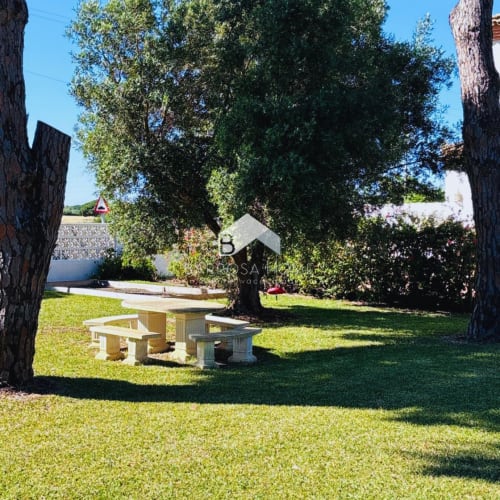 Jardín exuberante con mesa de picnic y árboles altos en Villa Irlanda, Chiclana de la Frontera, villa privada con zona infantil