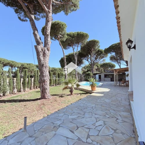 Villa Irlanda en Barrosa Home, Chiclana: terraza de piedra, jardín frondoso, pinos y zona privada con piscina