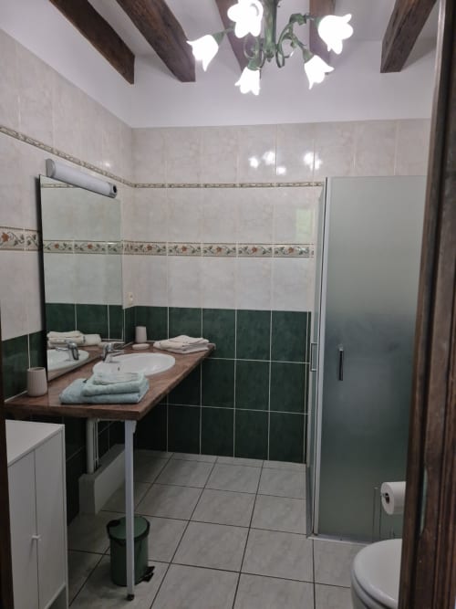 Salle de bain spacieuse du gîte Le Moulin Garnier avec carrelage vert et crème, meuble vasque en bois et douche