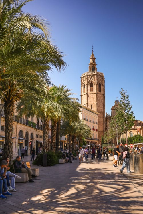 Plaza del centro de Valencia con palmeras y campanario de la catedral histórica, vista desde el apartamento Pataconablue