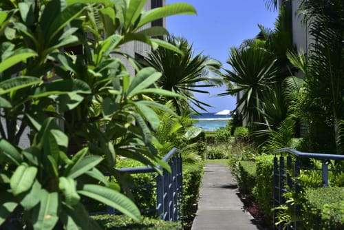 Tropical garden pathway with palm trees leading to ocean view at O'Biches Premium Holiday Apartment in Trou-aux-Biches,