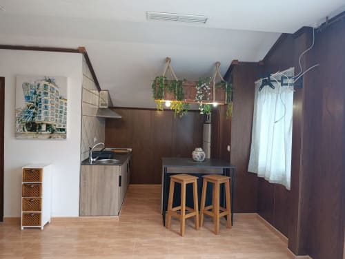 Moderna cocina con muebles de madera oscura, barra, y plantas colgantes en villa Luna de Alojamientos Las Mellis