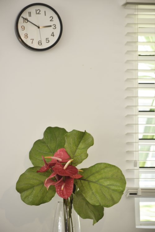 Red flowers in vase on table at O'Biches Premium apartment, Trou-aux-Biches, with clock and window blinds