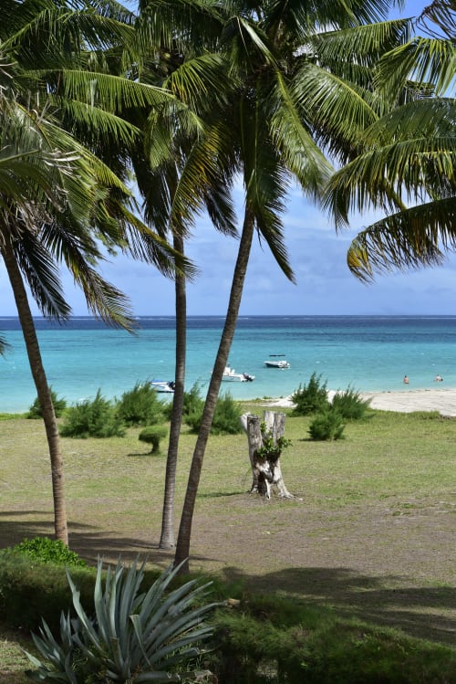 Palm trees frame turquoise ocean views at Pointe d'Esny beachfront luxury apartment with boats and sandy beach below