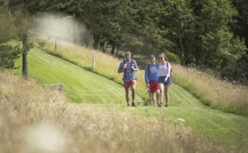 Guests jogging through pastoral landscape near Clos Céleste, Normandy countryside