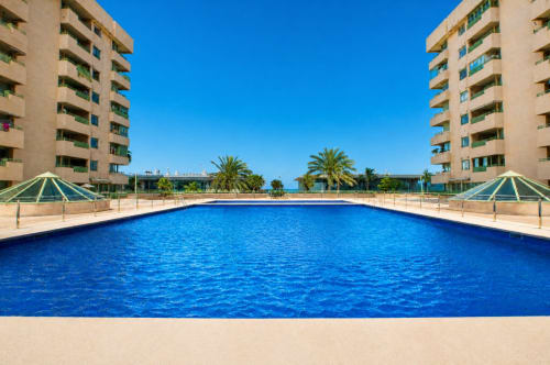 Deslumbrante piscina compartida azul brillante en Pataconablue Rentals en Valencia, España, con palmeras, plataforma arenosa y sombrillas verdes