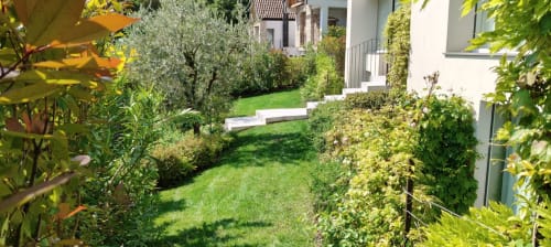 Üppiger Garteninnenhof des Hotel Prince Garda in Salò mit gepflegtem Rasen, Olivenbäumen und Kletterpflanzen