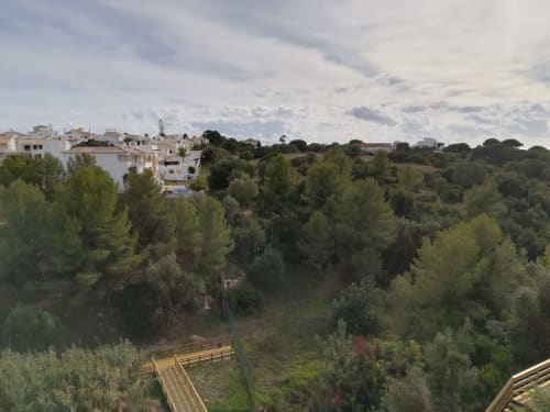 Vista do apartamento Albufeira sobre floresta de pinheiros e colinas com edifícios brancos imersos na vegetação