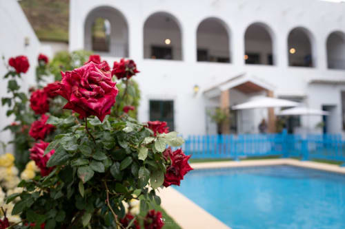 Rosas rojas florecen junto a la piscina azul de Alojamientos Las Mellis en Antequera, España