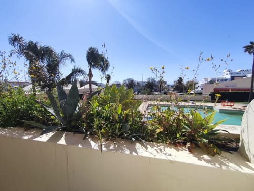 Jardim da Albufeira Inn com palmeiras, plantas floridas e piscina turquesa em Albufeira, Portugal