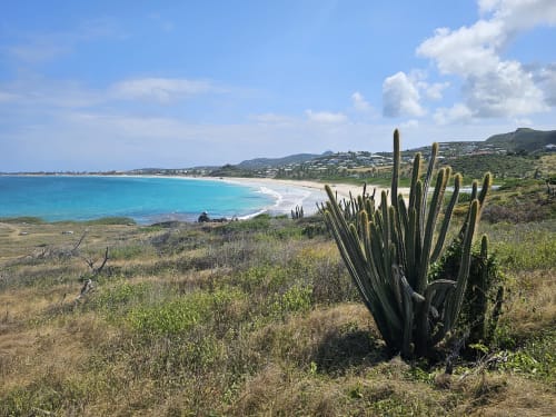 Plage turquoise avec crique de sable blanc, végétation luxuriante sur les collines et hauts cactus en premier plan à Cul-de-Sac