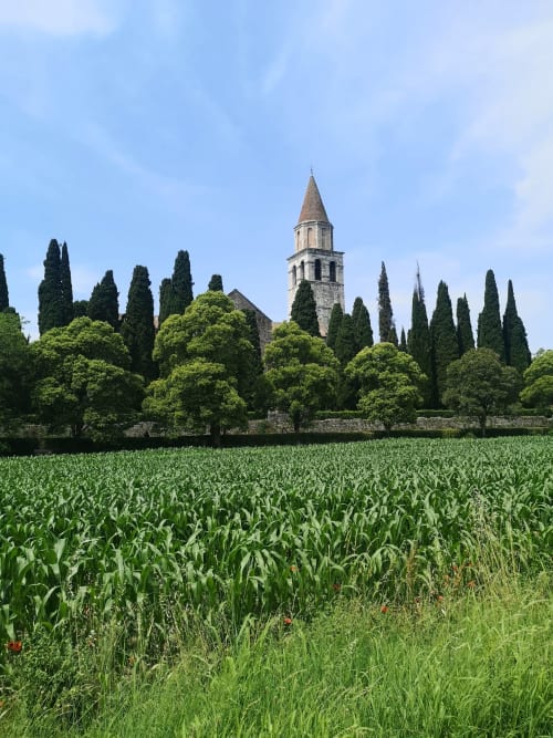 Torre medievale che si eleva tra i cipressi e il campo di grano a Casale Rusignûl a Basegliano, Italia
