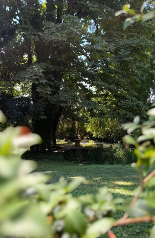 Lussureggiante vialetto del giardino di Corte Pellegrini B&B a Verona, circondata da alberi e vegetazione verdeggiante