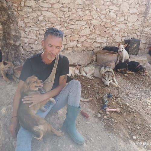 Uomo con cani al riad guesthouse Riad Miral nella Medina di Marrakech