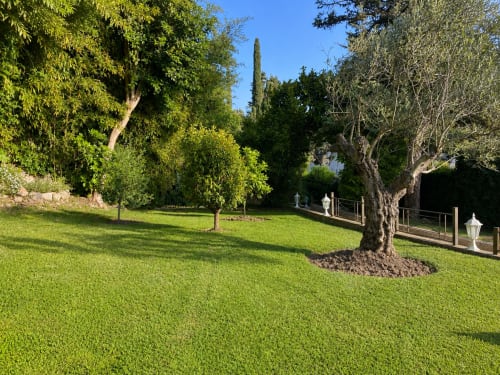 Lush green lawn with mature trees and Mediterranean gardens at Cannes luxury villa rental property