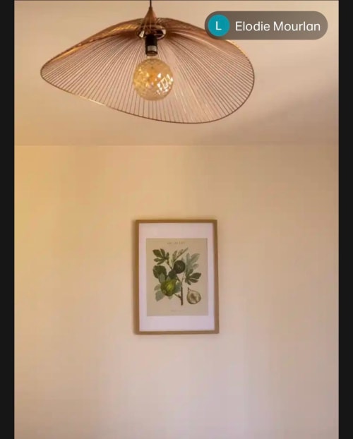 Plafonnier de chambre avec motifs botaniques aux Mas des Vignes, Drôme Provence