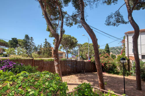 Cour méditerranéenne luxuriante de l'hôtel Finques Garcia Enrich à Palafrugell avec pins élevés et plantes fleuries