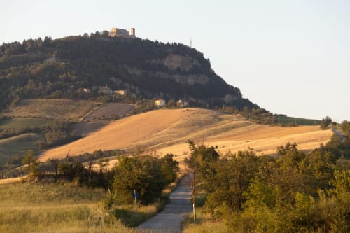 Paesaggio toscano con dolci colline dorate, cipressi e castello su colle vicino a Casa di Cinti B&B