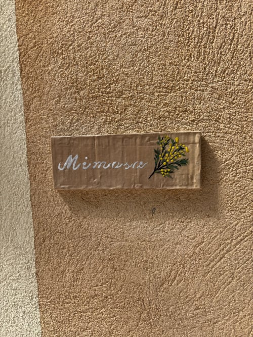 Plaque nominative Mimosa avec fleurs jaunes sur mur texturé au Mas des Vignes, Drôme Provence