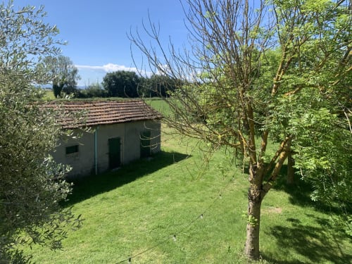 Lussureggiante giardino di Ca' Salino B&B a Villa Inferno: prato curato, ulivi e rustica casa in pietra con tetto in coppi