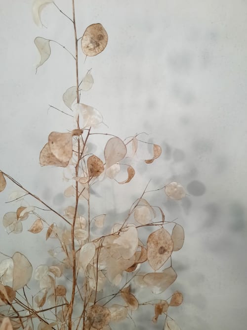 Dried seedpods and delicate branches in Le Forest de Gaétan room at Le Petit Bégou, Saint-Auban-dʼOze