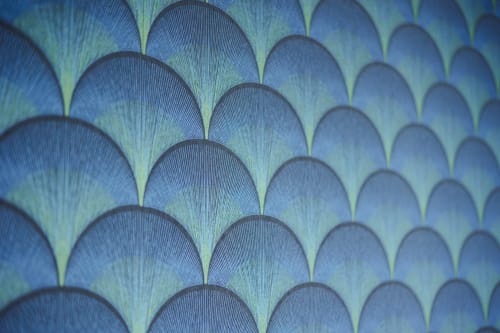 Gros plan sur les plumes iridescentes d'un paon aux reflets bleus et verts à L'Ode à Pierre, Dax