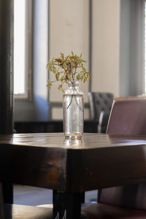 Plante fanée dans une bouteille en verre sur une table à l'hôtel BDM, Montastruc-la-Conseillère