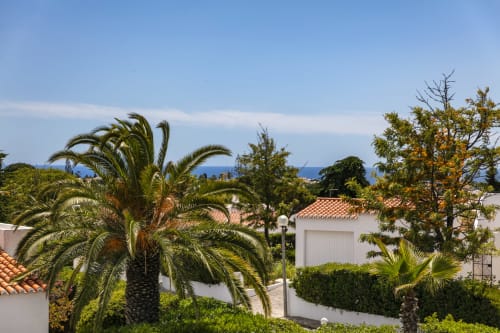 Whitewashed villas with terracotta roofs, palm trees, and ocean views in Lagoa, Portugal