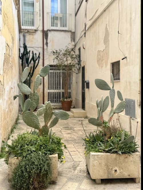 Narrow courtyard at HABITARE Lecce with prickly pear cacti in terracotta planters, cream stone walls, and traditional