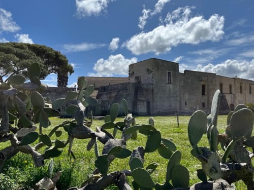Historic stone villa with prickly pear cacti in garden, HABITARE Lecce & Salento, Salento region