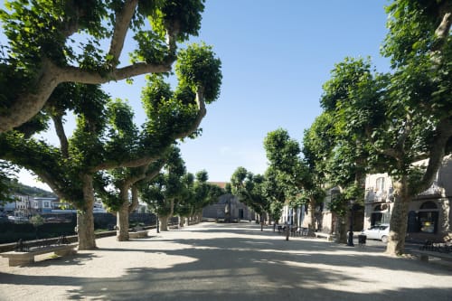 Plaza arbolada en Muro 13 El Mirador del Espolón de Logroño con edificios históricos y camino de piedra