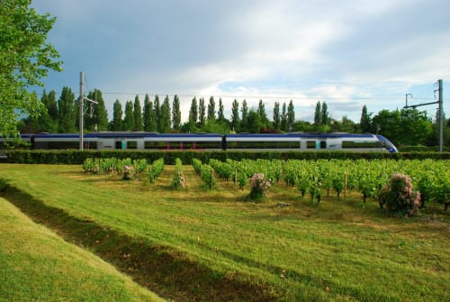 Train bleu moderne passant près des vignobles de Puget-Théniers, campagne de la Côte d'Azur avec peupliers