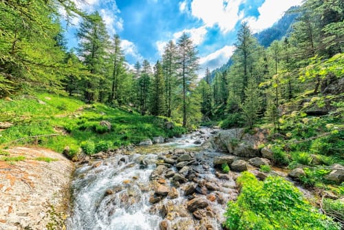 Alpine mountain stream with lush forest, rocky banks, and clear blue sky near Puget-Théniers