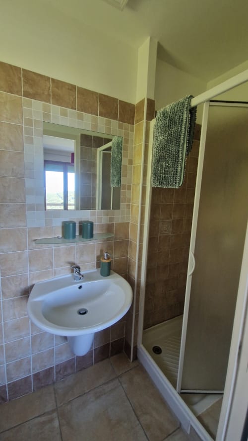 Salle de bains moderne à Mare e Monti Vico avec lavabo suspendu, miroir, douche à l'italienne et carrelage marron