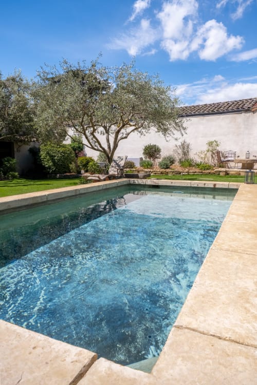 Piscine scintillante avec terrasse en terre cuite au gîte Le Jardin Secret à Grignan, entourée d'oliviers et de jardins paysagés