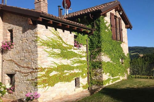 Rustico cottage in pietra a Lodole Country House a Monzuno con muri ricoperti di edera e fiori rosa