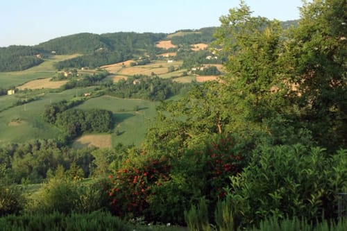 Dolci colline toscane con campi verdi, boschi e case sparse vicino a Monzuno, vista dalla Country House Lodole