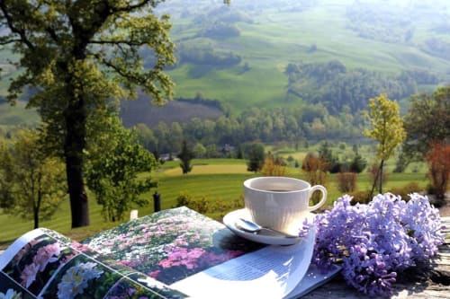 Vista panoramica della campagna dalla terrazza di Lodole Country House con tazza di caffè, fiori e paesaggio ondulato di Monzuno