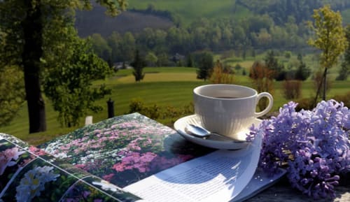 Tazza di tè bianca con vista sulla campagna della Lodole Country House, Monzuno Italia, circondato da fiori e dolci colline