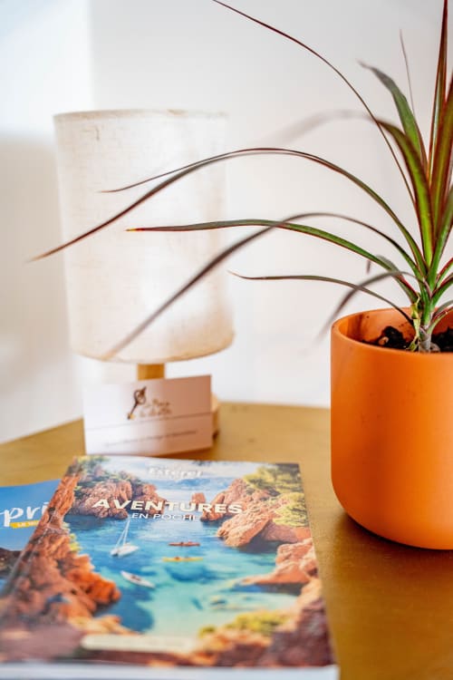 Plante en pot orange et magazine de voyage sur bureau en bois au Le Mas De La Clé D'Or, chambres d'hôtes de luxe