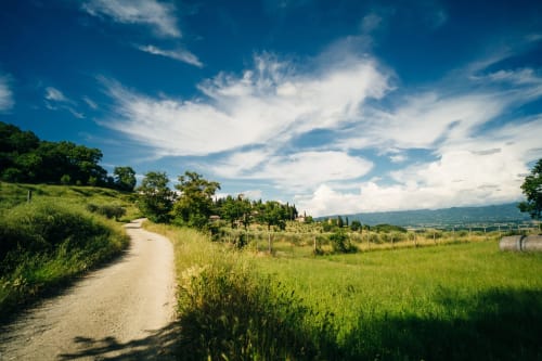 Strada in terra battuta nella campagna toscana presso la Lodole Country House a Monzuno, circondata da verdi colline e cielo azzurro