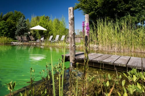 Terrasse paisible au bord du lac à La Jument Verte avec eau verte, ponton en bois, fleurs violettes et chaises longues sous parasols