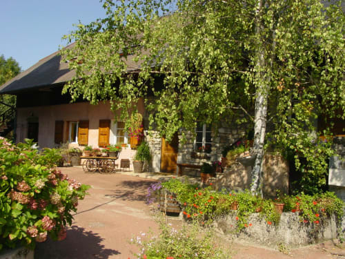 Charming courtyard at La Jument Verte B&B in Southern France with ivy-covered pergola and flowering plants