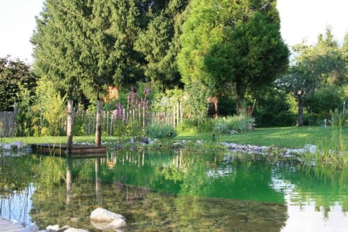 Tranquil pond garden at La Jument Verte B&B in Southern France with lush trees and purple flowers