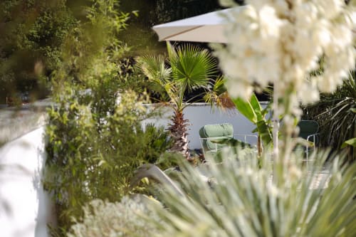 Terrasse de jardin luxuriante à la chambre d'hôtes L'Ode à Pierre à Dax avec plantes tropicales et coin détente verdoyant