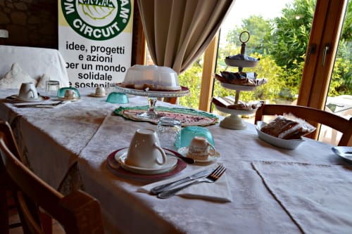 Tavolo elegantemente apparecchiato all'agriturismo Corte delle Giuggiole a Cologna Veneta con vista sul giardino e servizio colazione