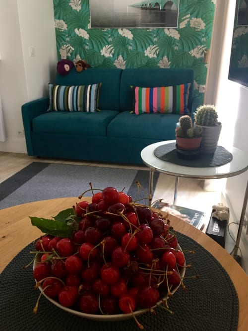 Teal sofa with colorful pillows in Cocoon Gallery Paris studio, fresh cherries on wooden table, cacti on side table